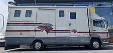 Mercedes-Benz 814 Pferdetransporter LKW 7,5t.