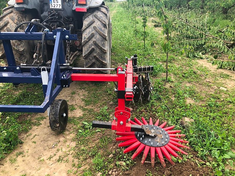 Jagoda jednostronny pielnik sadowniczy KLAUDIA X1