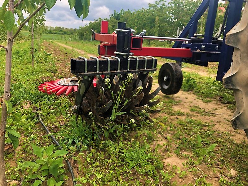 Jagoda jednostronny pielnik sadowniczy KLAUDIA X1