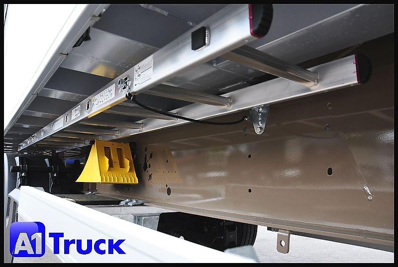 Benalu Reisch Kippmulde 50m³